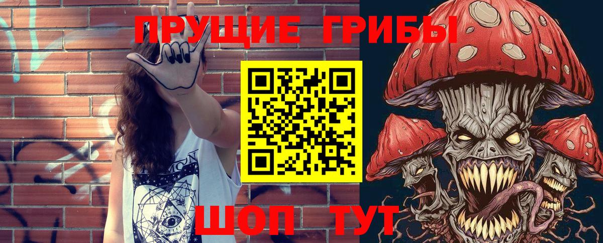 Галлюциногенные грибы Psilocybe  Вход с VPN  Видное 